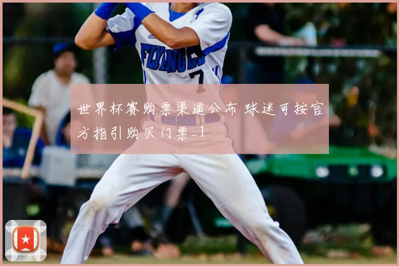 世界杯赛购票渠道公布 球迷可按官方指引购买门票_1