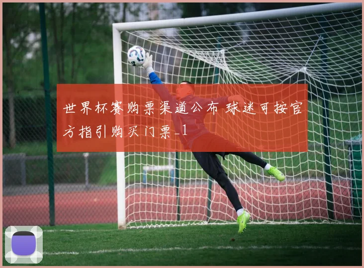 世界杯赛购票渠道公布 球迷可按官方指引购买门票_1