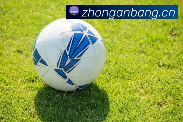 滚球官网appAPP 体育赛事宣传图